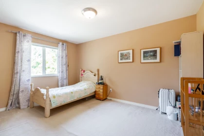 Laundry Room Photo of 21235 43a Avenue, Langley, BC