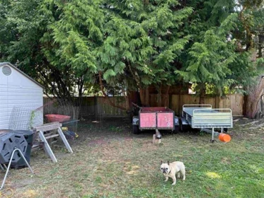 Breakfast Nook Photo of 12044 Laity Street, Maple Ridge, BC
