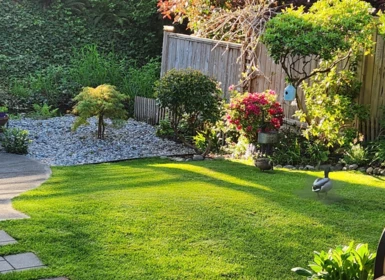 Aerial View of 3358 Jervis Street, Port Coquitlam, BC