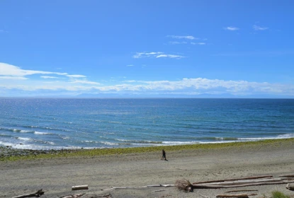 1590 Ocean Beach Esplanade, Gibsons, BC, Gibsons — Single Family Residence for sale