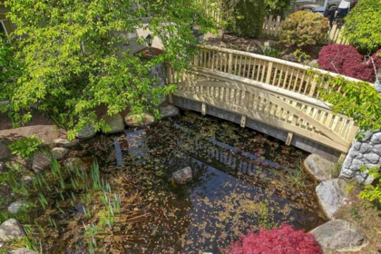 Front Yard Photo of 45 18707 65 Avenue, Surrey, BC