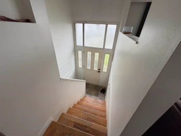 12234 99a Avenue, Surrey, BC, Surrey — Single Family Residence for sale