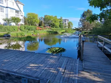Backyard Photo of 332 5700 Andrews Road, Richmond, BC