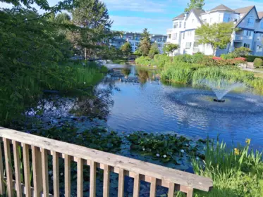 Swimming Pool Photo of 332 5700 Andrews Road, Richmond, BC