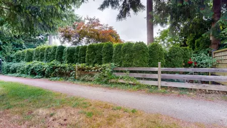 Garden / Landscaping Photo of 781 Gerussi Lane, Gibsons, BC