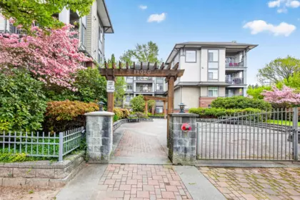 Swimming Pool Photo of 301 12020 207a Street, Maple Ridge, BC