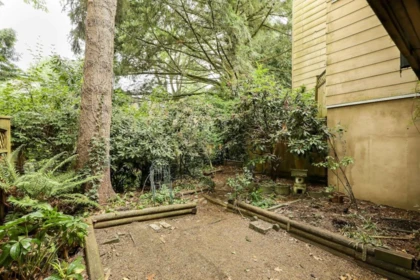 Backyard Photo of 41 10555 153 Street, Surrey, BC