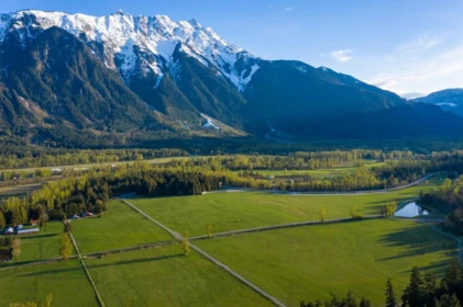 8222 Merlot Peak Drive, Pemberton, BC, Pemberton — Land for sale