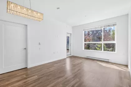 Kitchen Photo of 218 20829 77a Avenue, Langley, BC