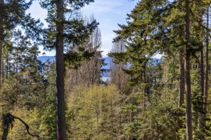 2635 Shoal Road, Pender Island, BC, Pender Island — Single Family Residence for sale