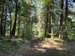 15 19743 Foster Road, Hope, BC