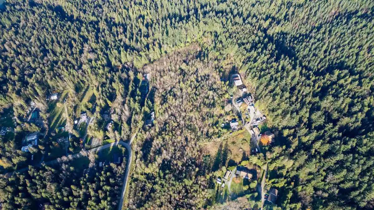 Family Room Photo of 11082 Greenwood Drive, Mission, BC