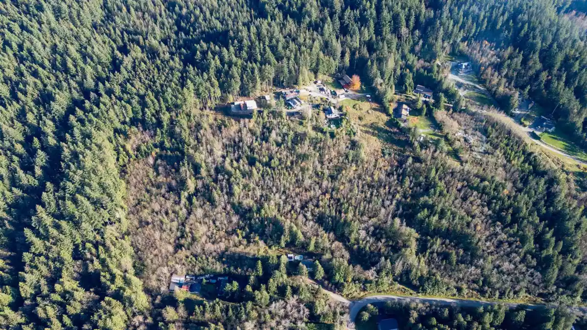 Kitchen Photo of 11082 Greenwood Drive, Mission, BC