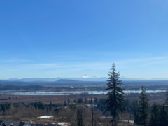 MLS R3035851