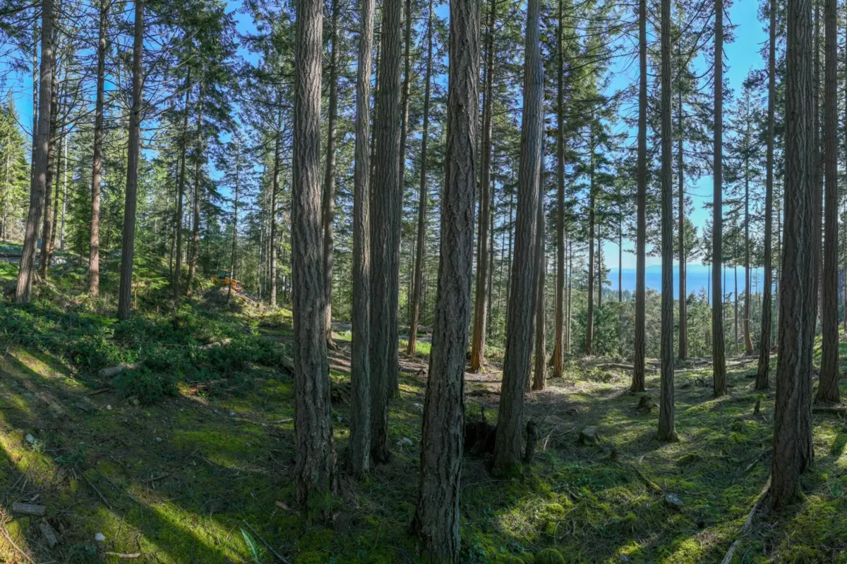 Dining Area Photo of PH3 LOT8 Arbutus Ridge, Bowen Island, BC