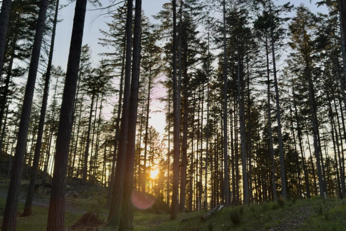 Kitchen Photo of PH3 LOT8 Arbutus Ridge, Bowen Island, BC