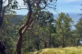 PH3 LOT8 Arbutus Ridge, Bowen Island, BC