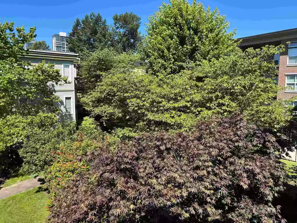 Office / Den Photo of 304 10665 139 Street, Surrey, BC