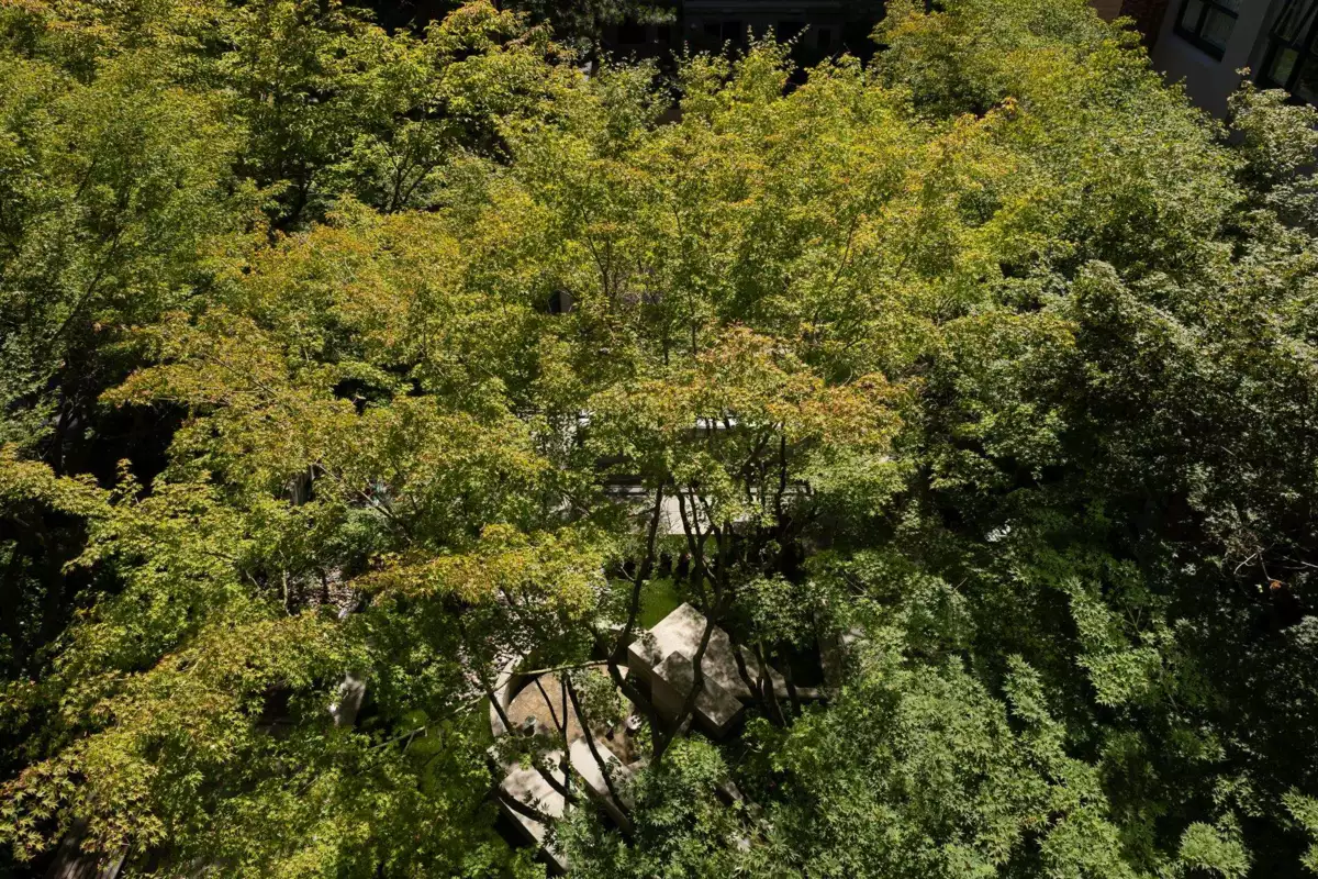 Front Yard Photo of 401 988 Richards Street, Vancouver, BC