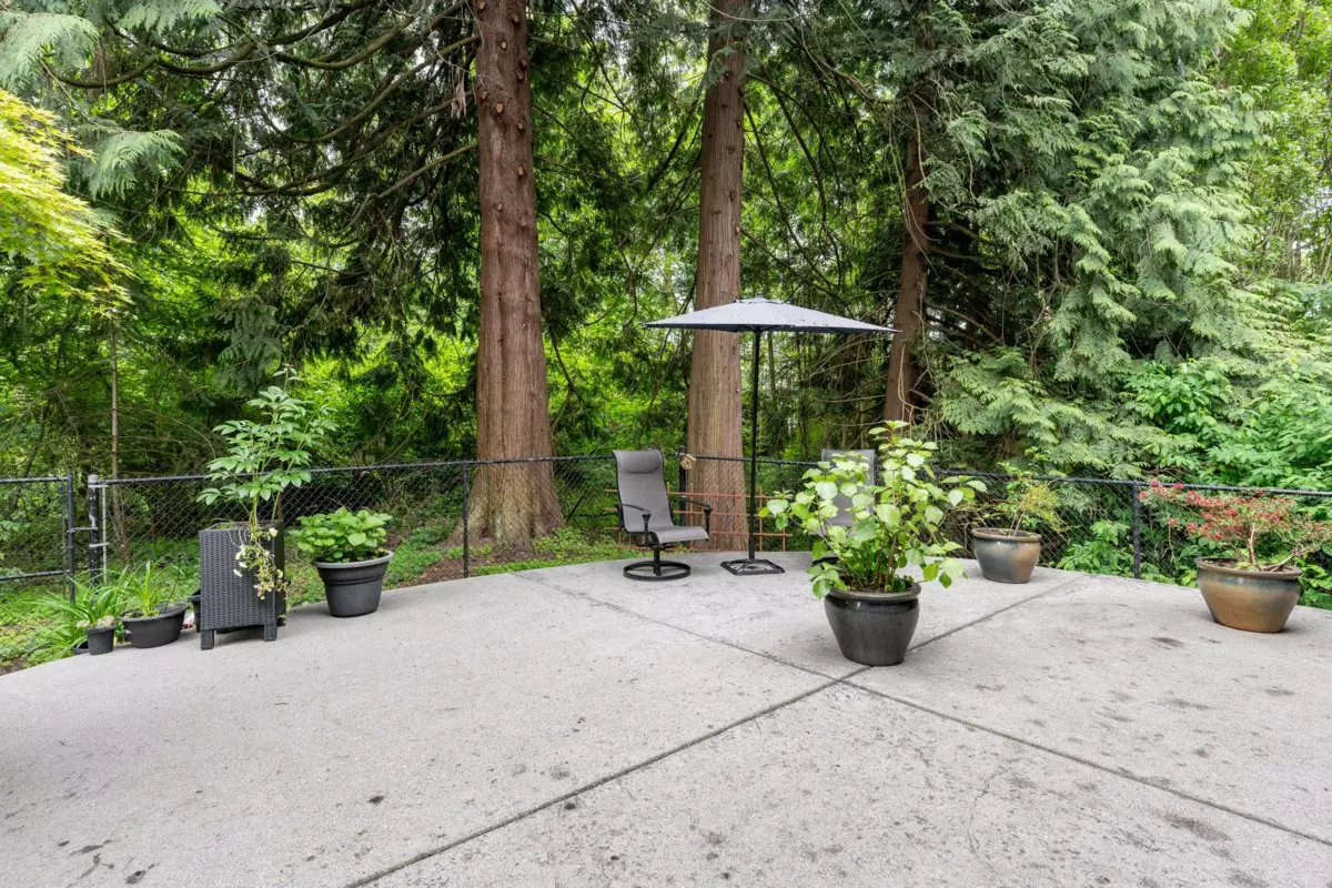 Neighborhood Park Photo Near 3428 150b Street, Surrey, BC