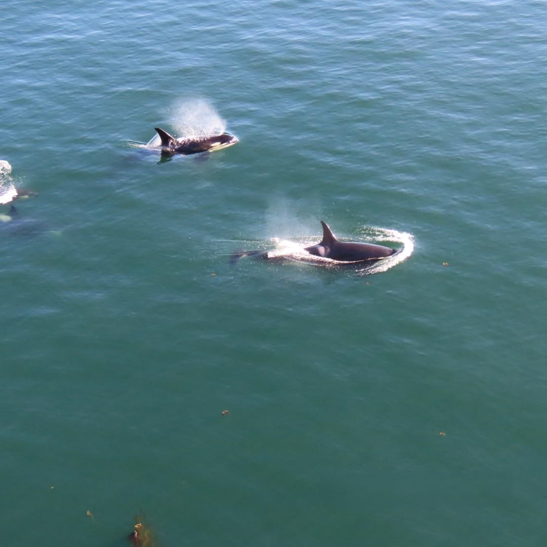 Kitchen Island Photo of 37189 Schooner Way, Pender Island, BC