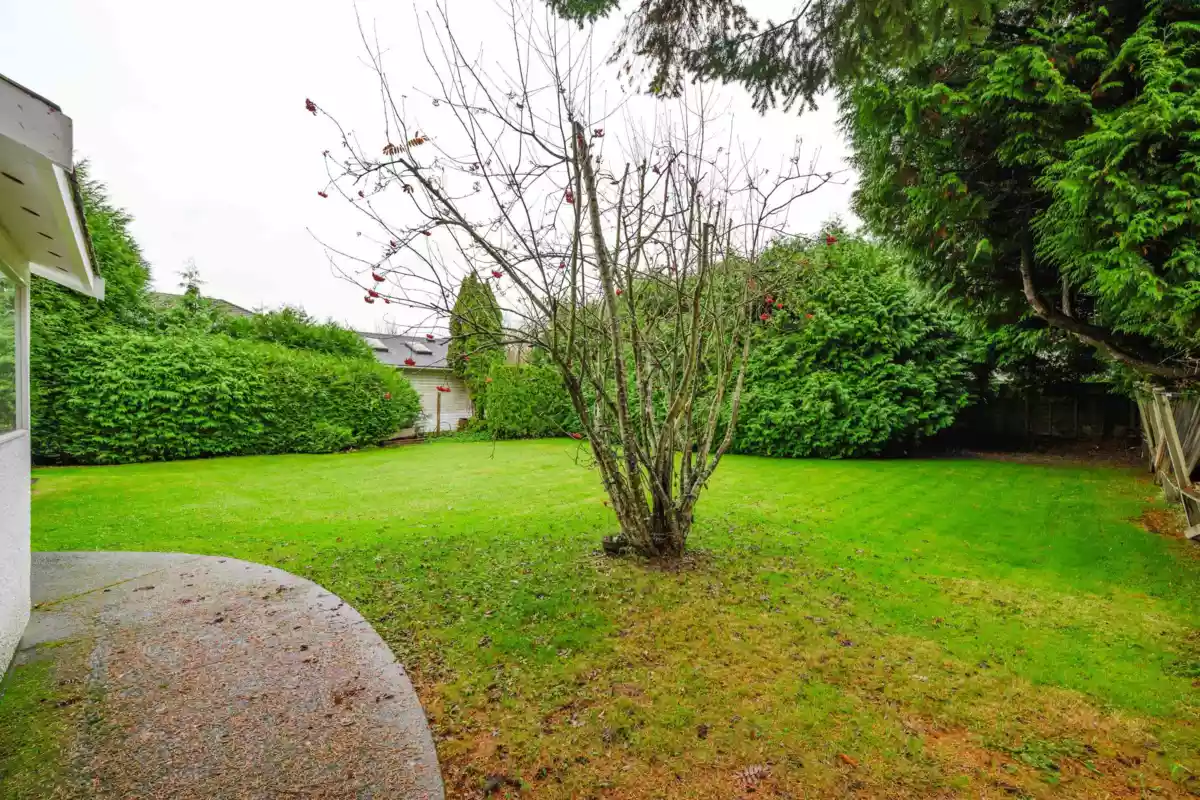 Basement Recreation Room Photo of 8531 Ash Street, Richmond, BC