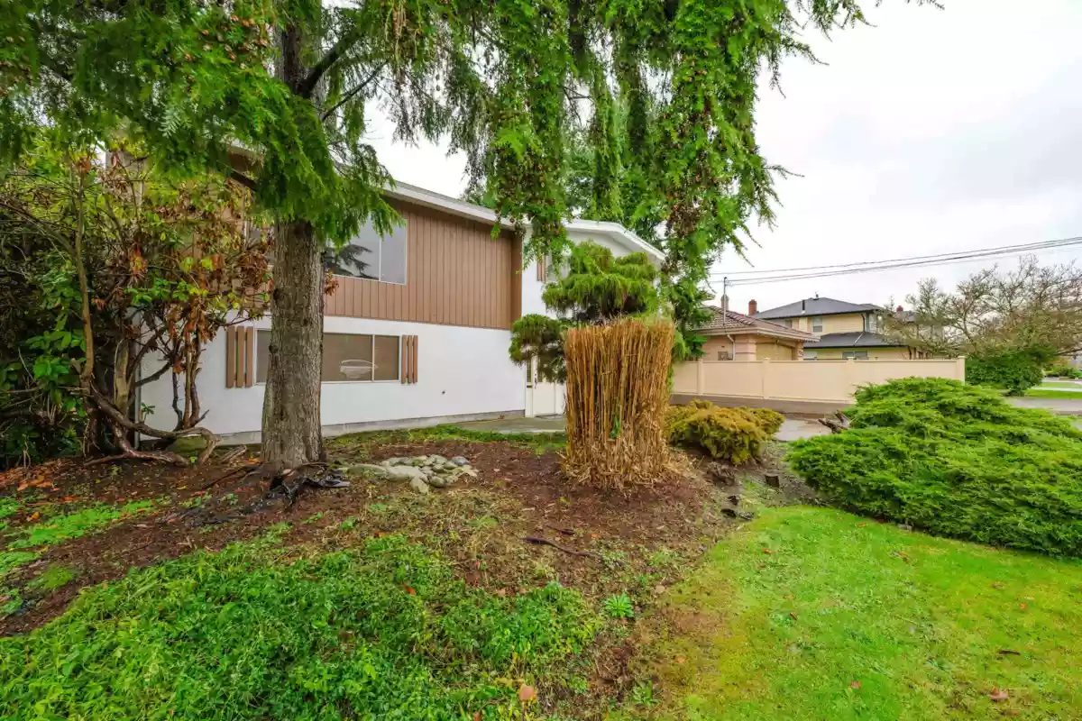Living Room Photo of 8531 Ash Street, Richmond, BC