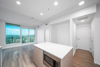 4508 3809 Evergreen Place, Burnaby, BC