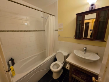 Primary Bathroom Photo of 387 W 13th Avenue, Vancouver, BC