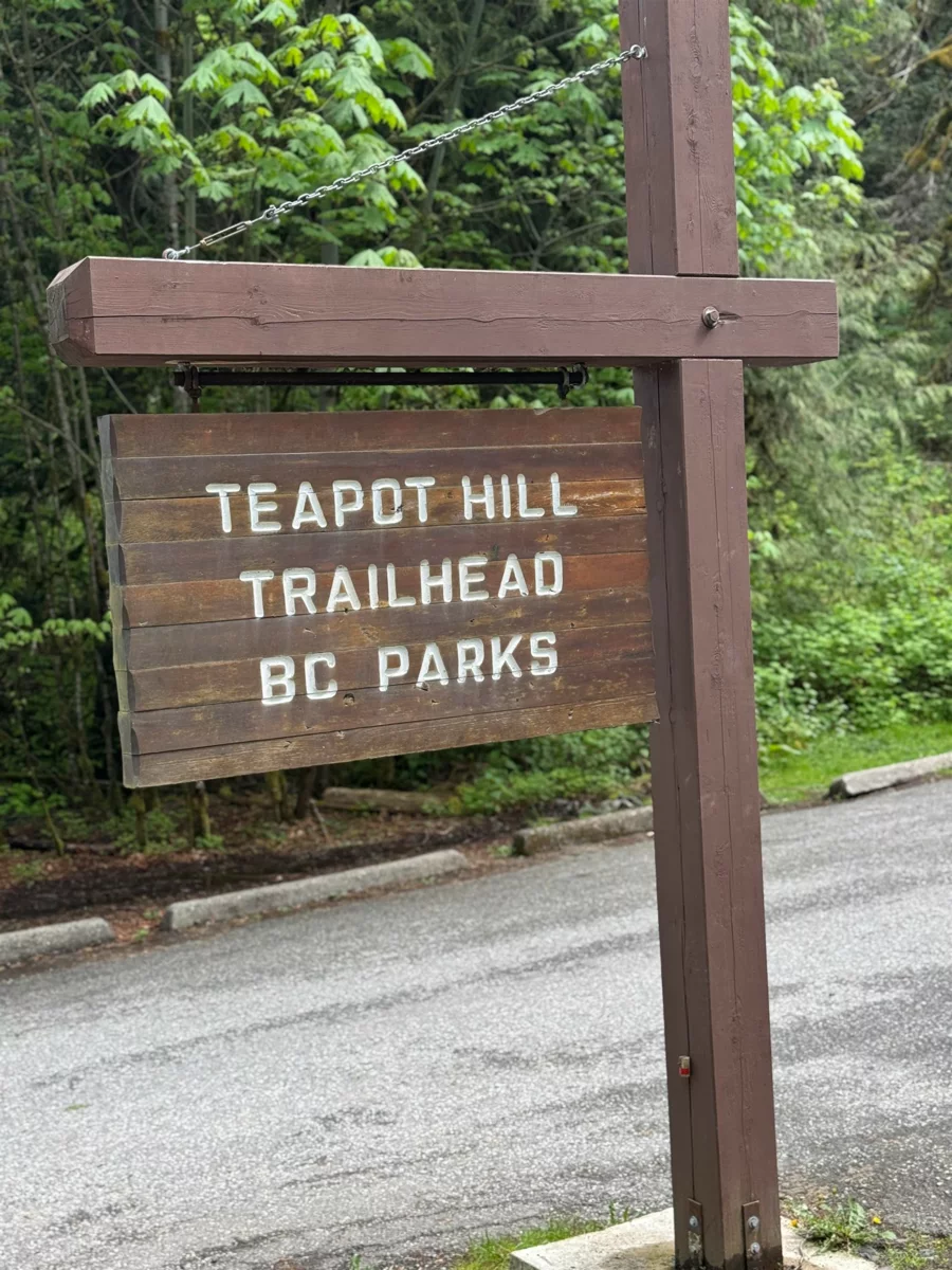 Hot Tub / Spa Photo of 133 1436 Frost Road, Cultus Lake, BC