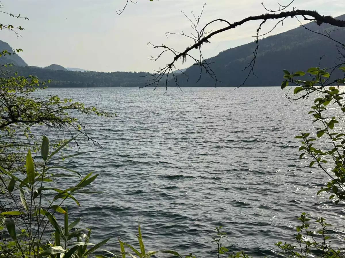 Outdoor Kitchen Photo of 133 1436 Frost Road, Cultus Lake, BC