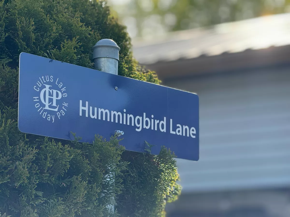 Staircase Photo of 133 1436 Frost Road, Cultus Lake, BC