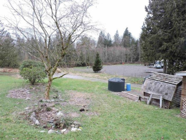 Pantry Photo of 10053 Wolfe Street, Mission, BC