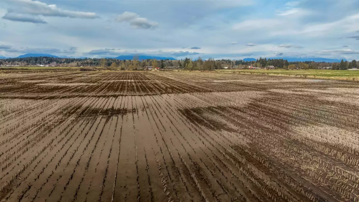 Pantry Photo of 17901 80 Avenue, Surrey, BC