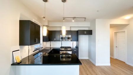 309 20058 Fraser Highway, Langley, BC, Langley — Apartment/Condo for sale