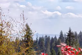 3973 Braemar Place, North Vancouver, BC