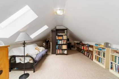 Loft / Bonus Room Photo of 6319 Sophia Street, Vancouver, BC