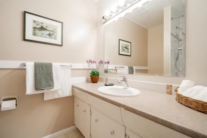 Walk-In Closet Photo of 14586 18 Avenue, Surrey, BC