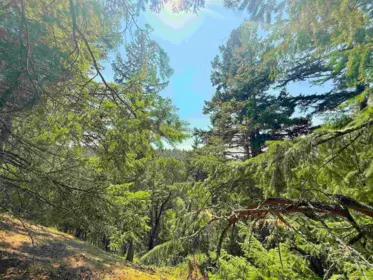 Breakfast Nook Photo of Lot 11 Bodega Beach Drive, Galiano Island, BC