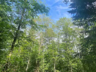 Loft / Bonus Room Photo of Lot 11 Bodega Beach Drive, Galiano Island, BC