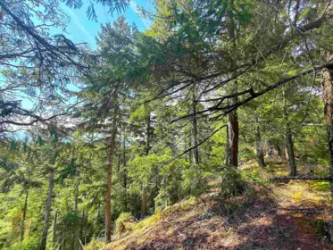 Pantry Photo of Lot 11 Bodega Beach Drive, Galiano Island, BC