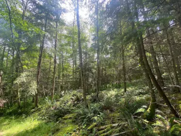 Powder Room Photo of Lot 11 Bodega Beach Drive, Galiano Island, BC
