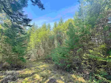 Walk-In Closet Photo of Lot 11 Bodega Beach Drive, Galiano Island, BC