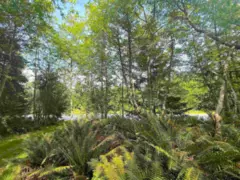 Lot 11 Bodega Beach Drive, Galiano Island, BC