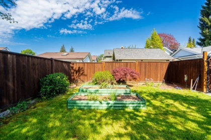 Backyard Photo of 909 Dublin Street, New Westminster, BC