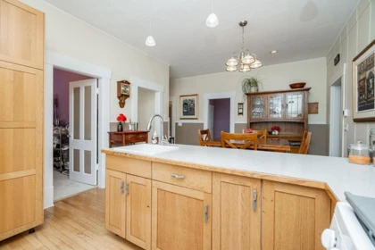 Pantry Photo of 909 Dublin Street, New Westminster, BC