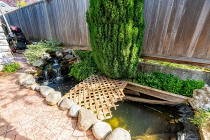 Swimming Pool Photo of 909 Dublin Street, New Westminster, BC