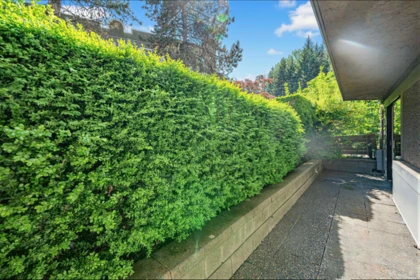 Staircase Photo of 5 9584 Manchester Drive, Burnaby, BC