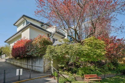 Backyard Photo of 4306 Sophia Street, Vancouver, BC