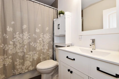 Powder Room Photo of 7850 Horne Street, Mission, BC
